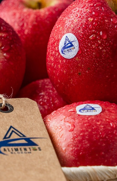 Servicio de distribución de frutas frescas al mayor
